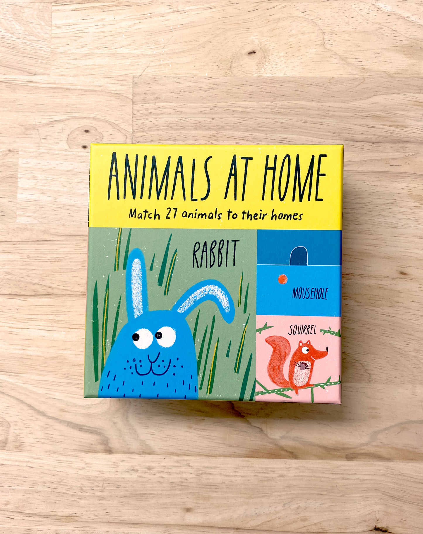 Animals at Home: A matching game