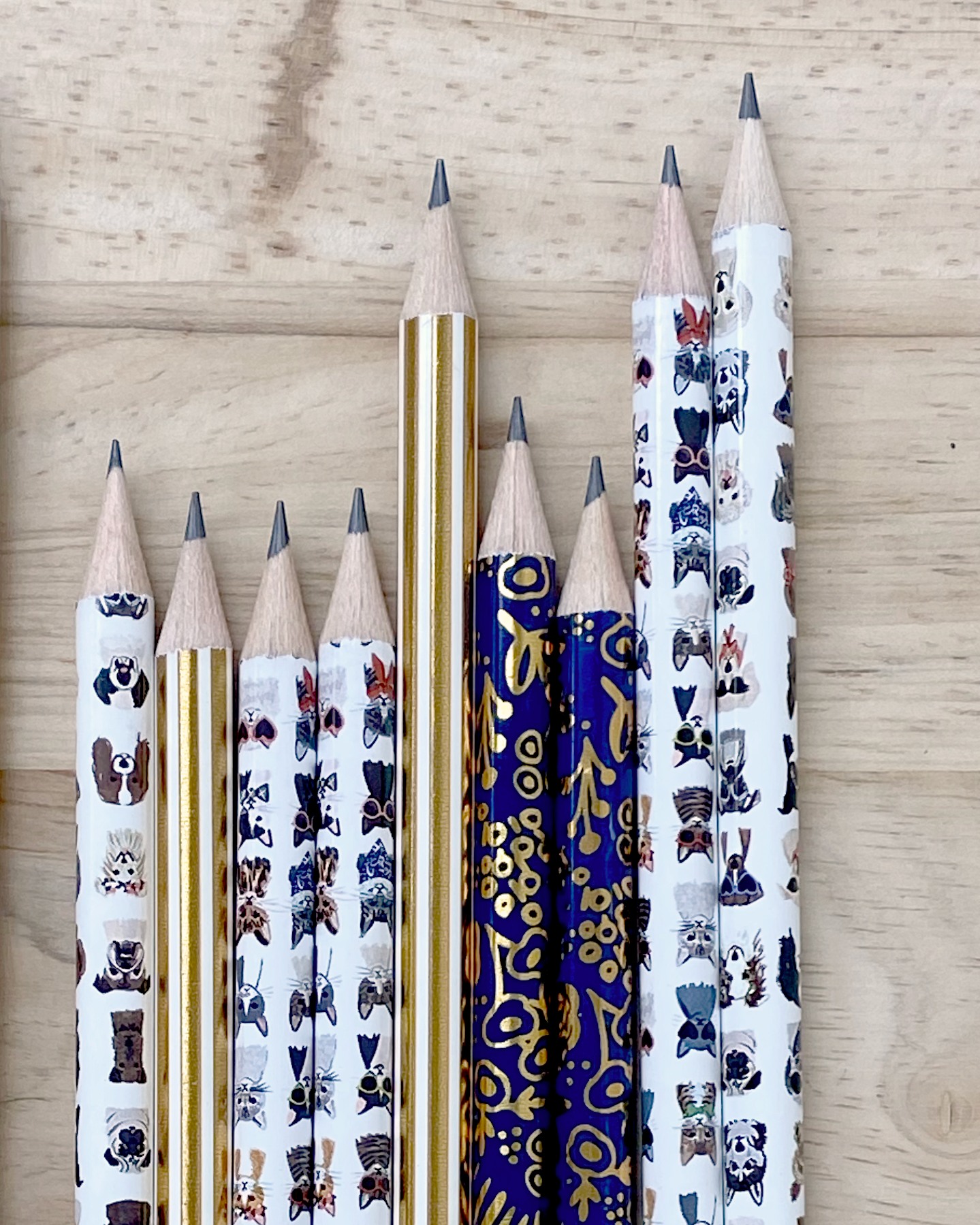 Cats and Dogs rifle no 2 pencils