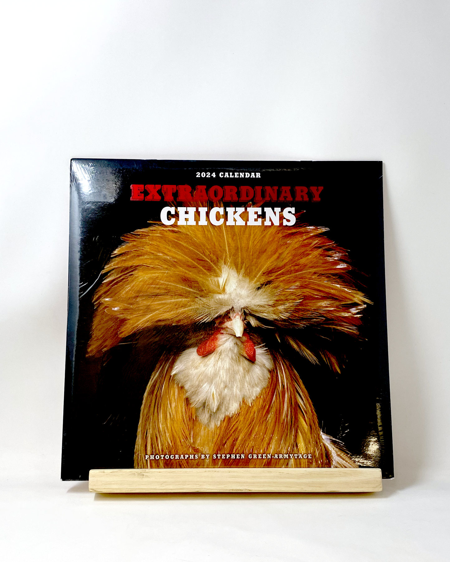 Extraordinary Chickens Wall Calendar 2024