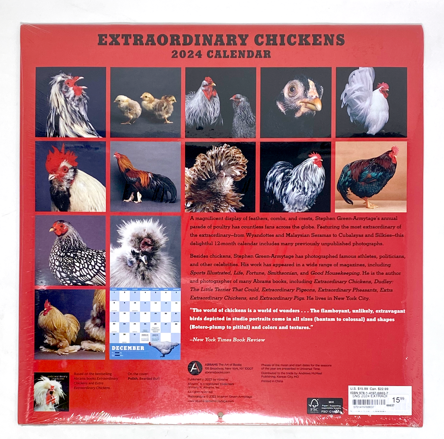 Extraordinary Chickens Wall Calendar 2024