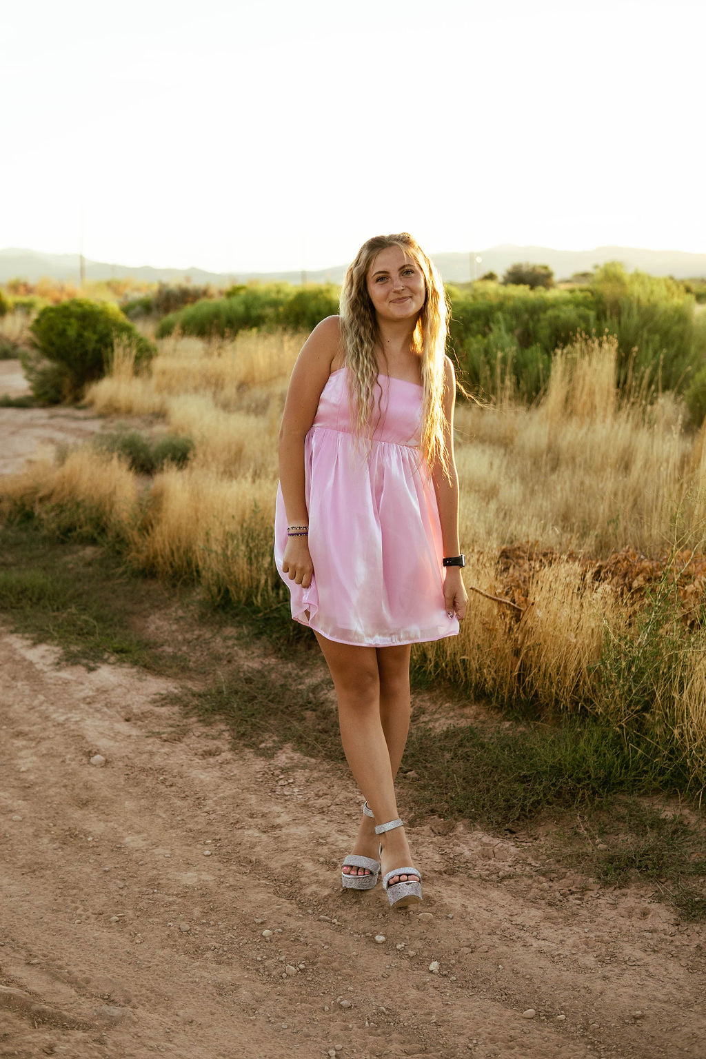 Cinderella Mini Dress