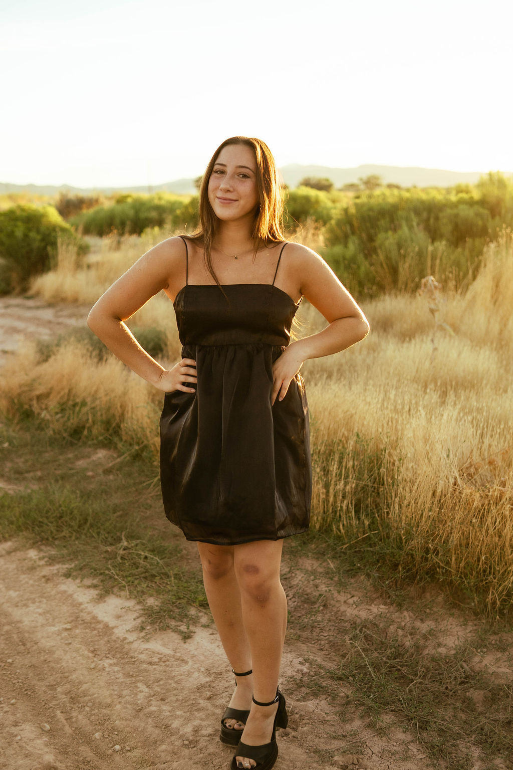 Cinderella Mini Dress
