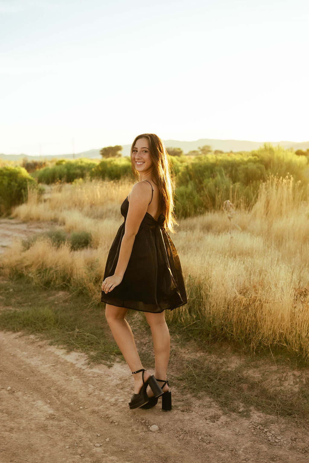 Cinderella Mini Dress