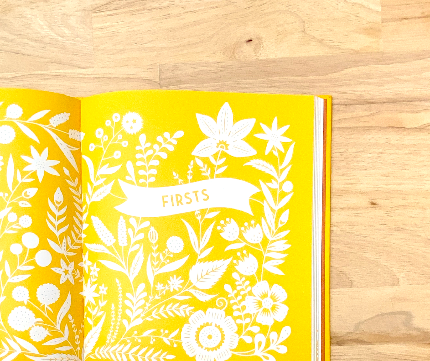 My Baby Book