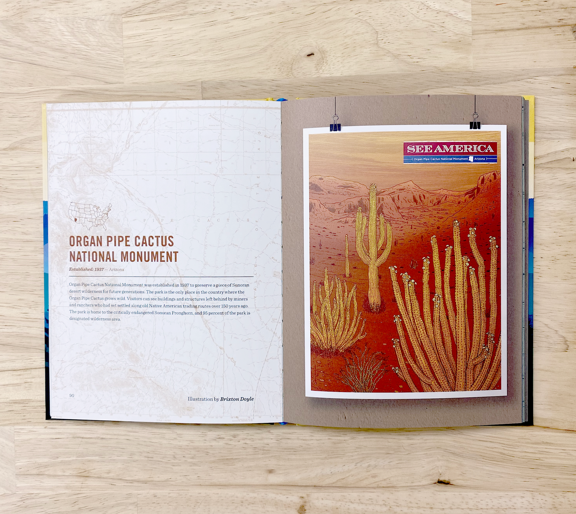 National Park activity book