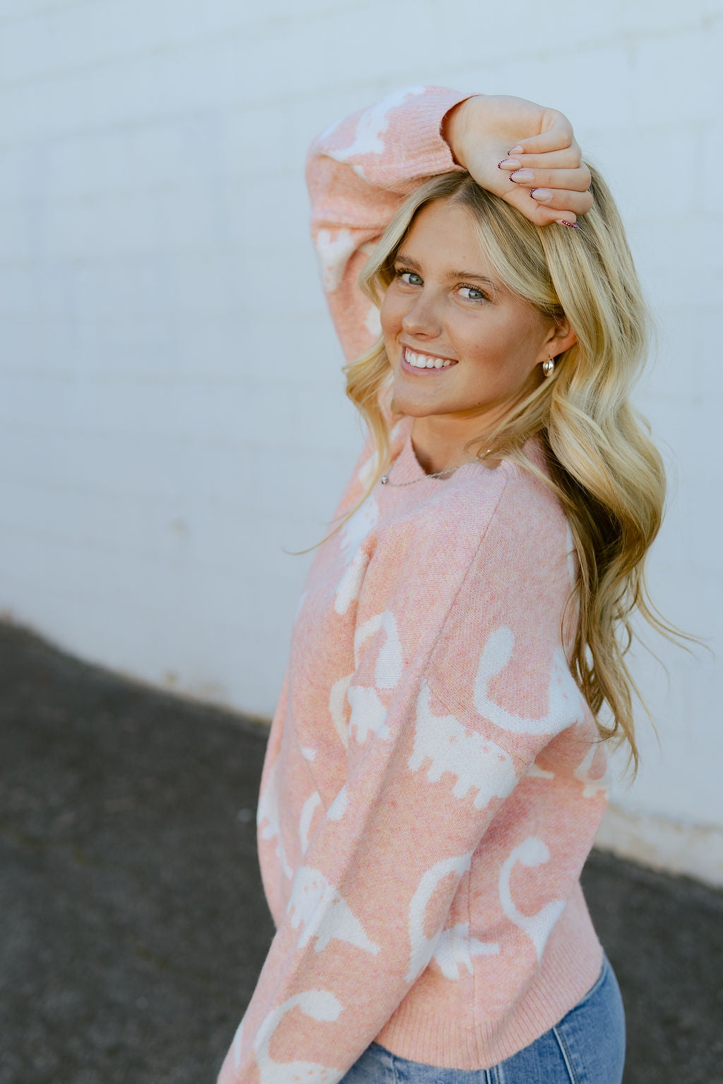 Pink sweater with dinosaur print