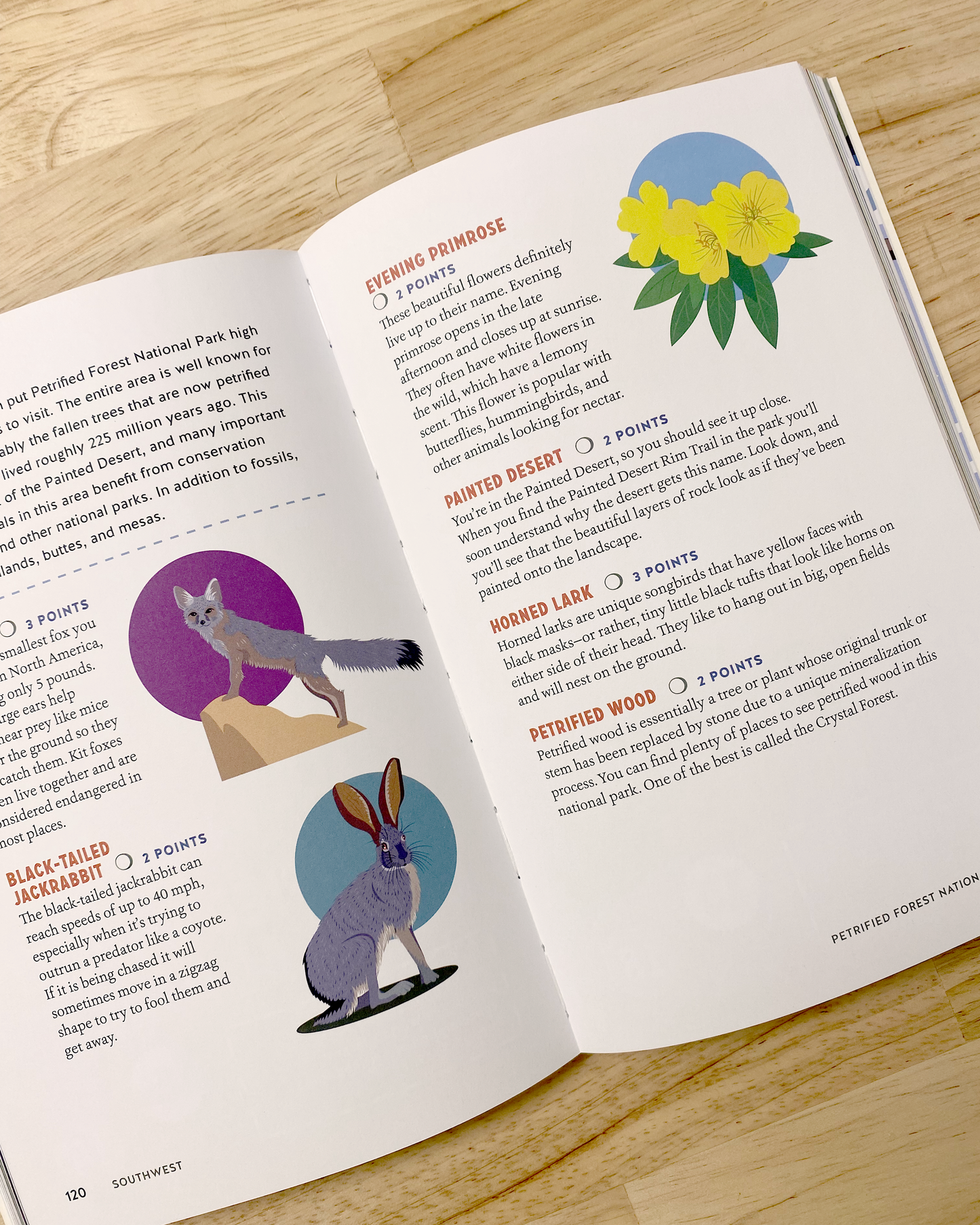 National Park scavenger hunt book