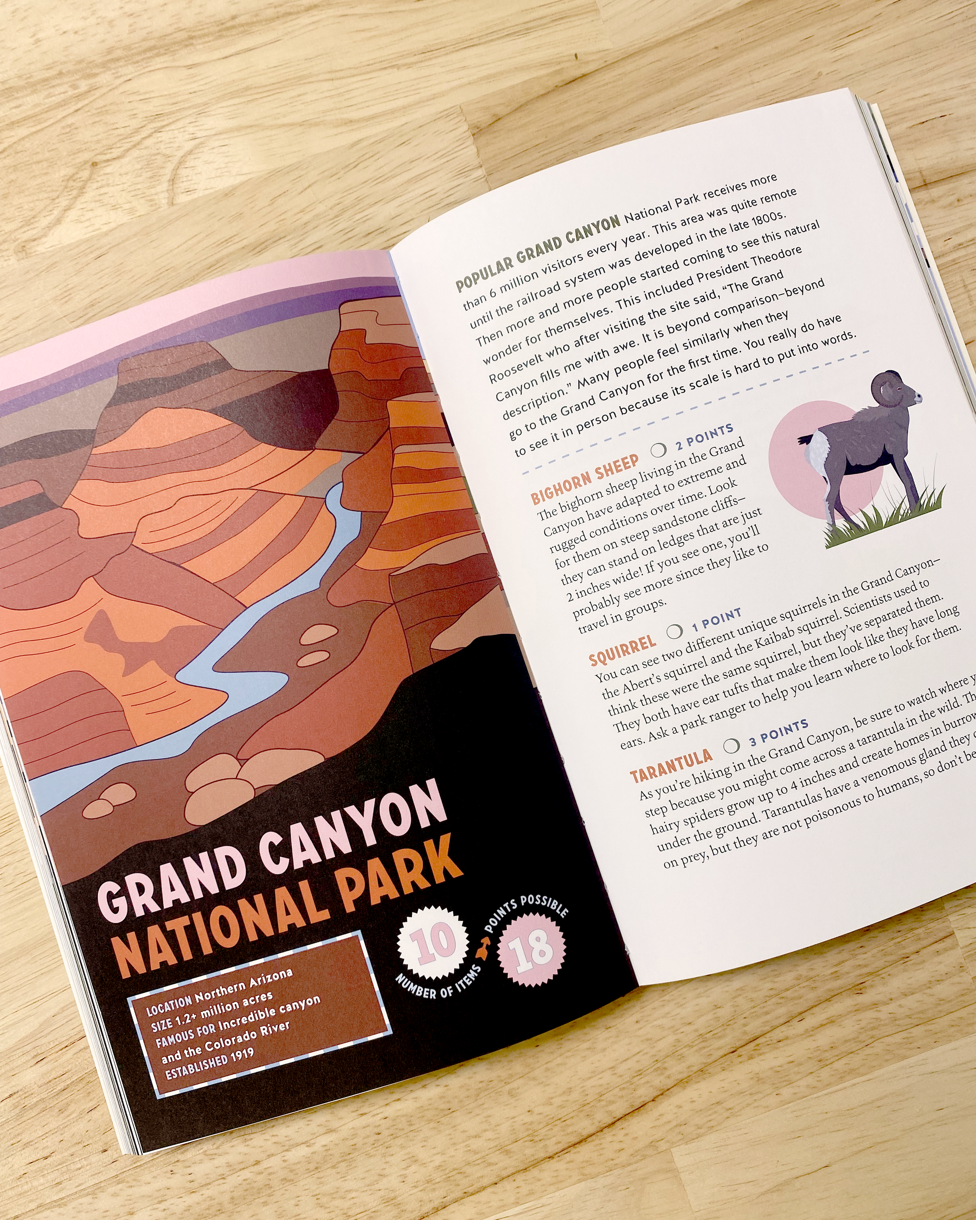 National Park scavenger hunt book