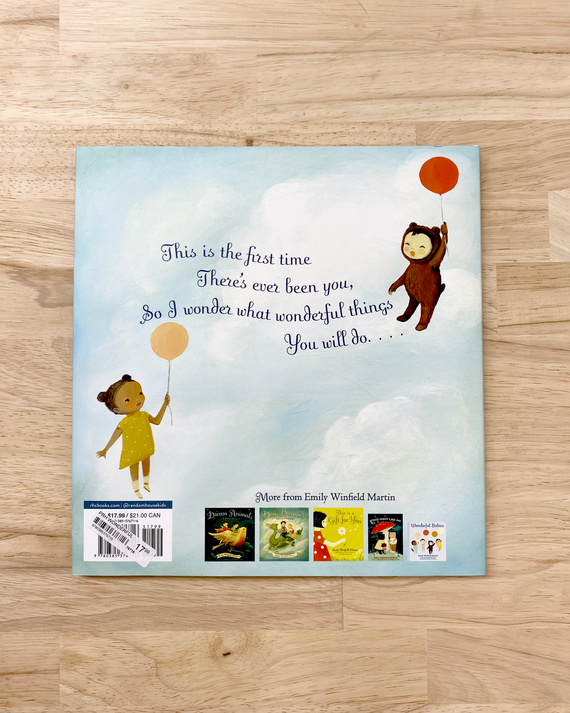 All the Wonderful things you will be children's book