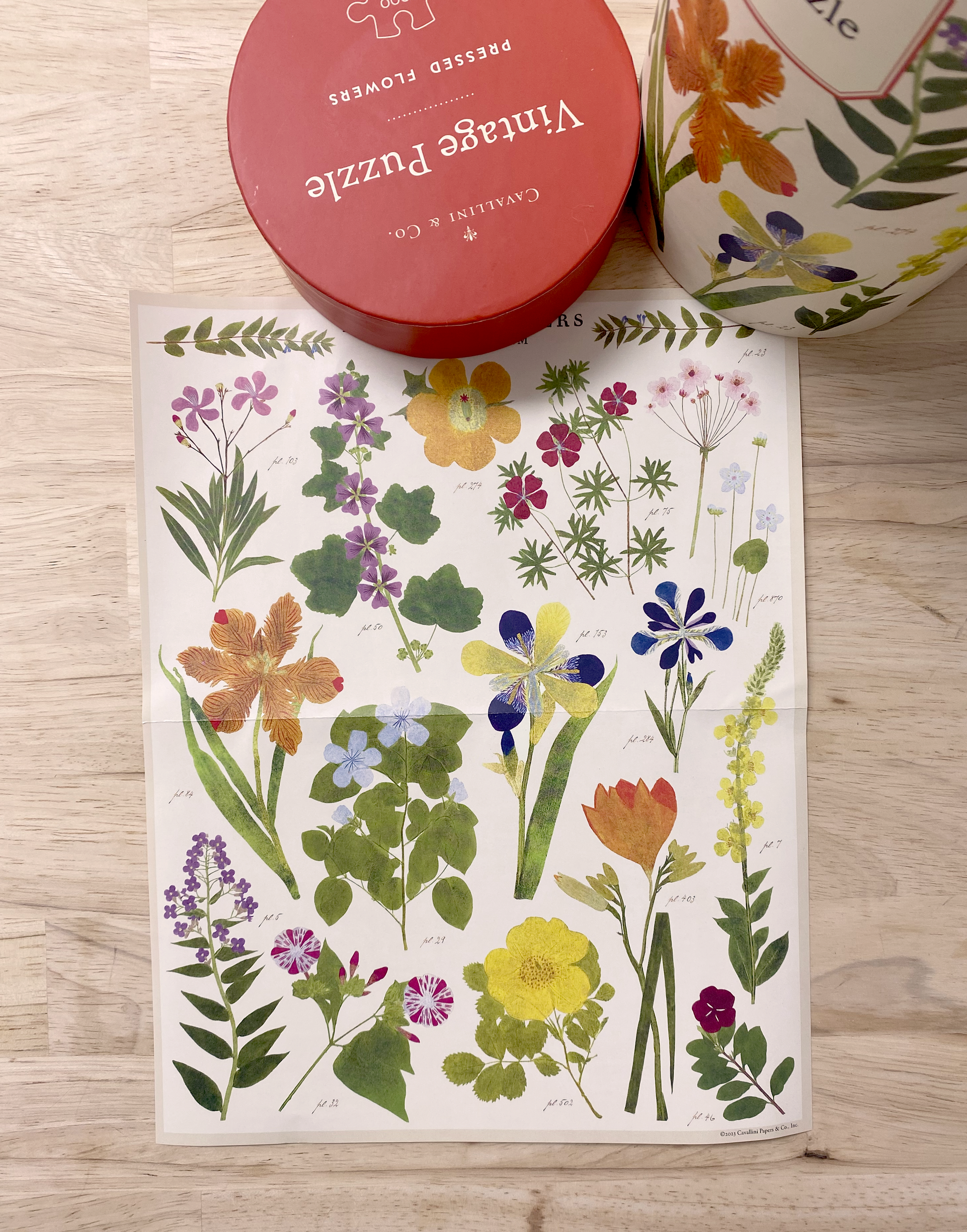 Cavallini Wildflower 1000 piece puzzle