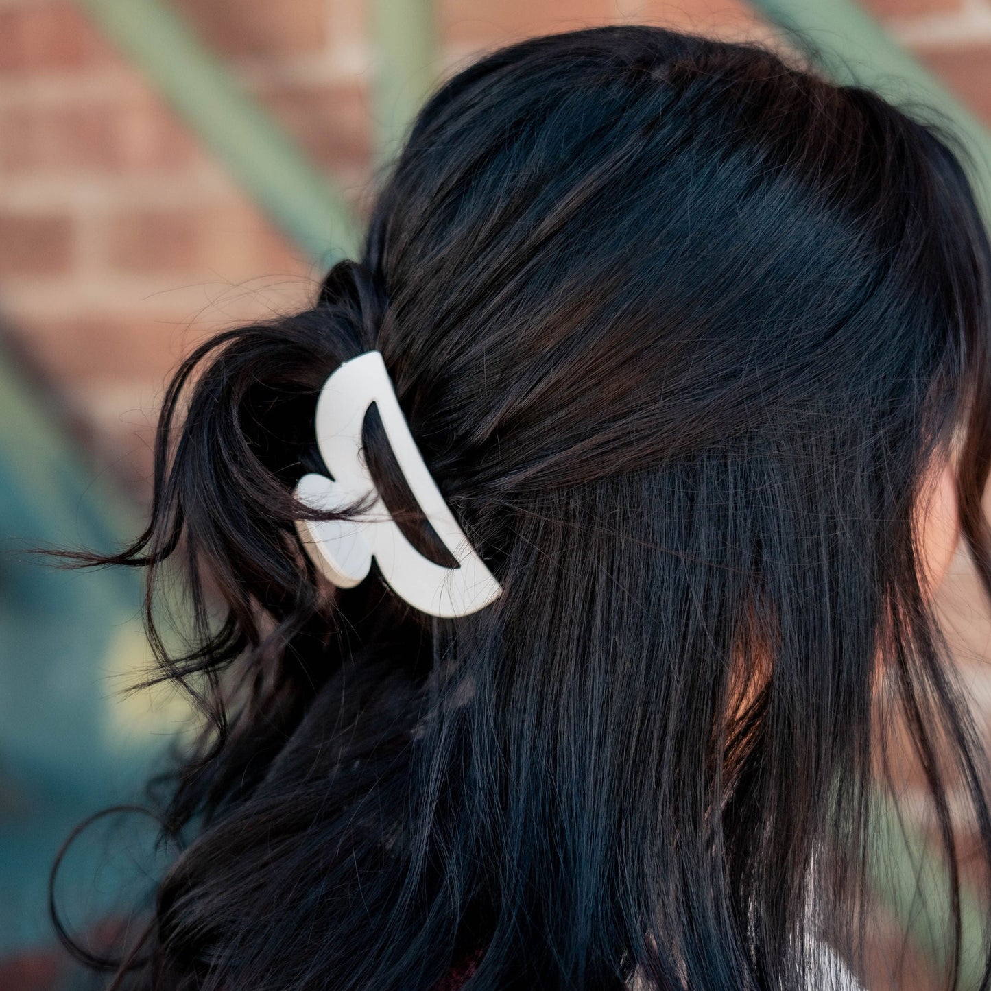 Half Moon Claw Clip