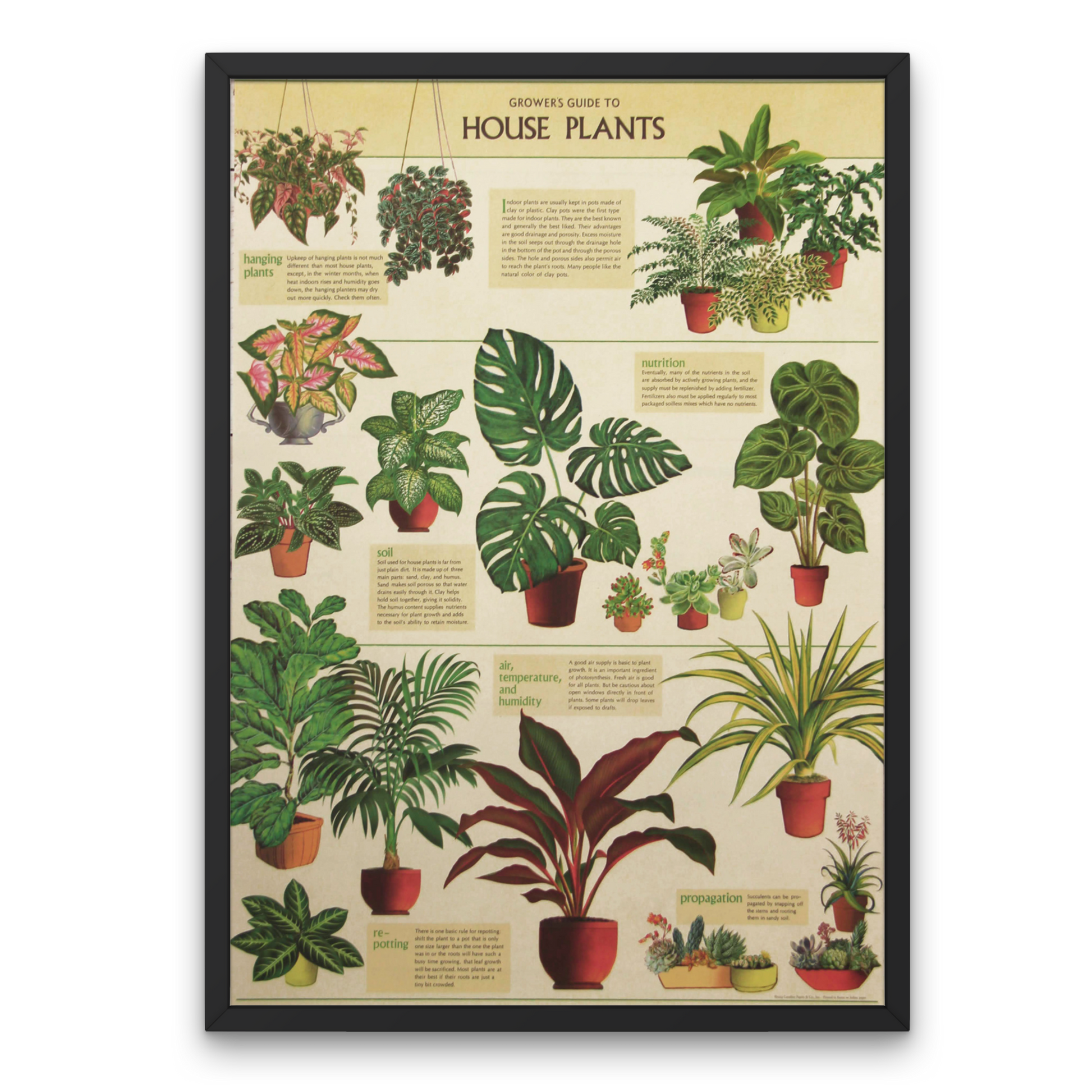 Cavalini Posters, wall art, posters, fun posters, science posters