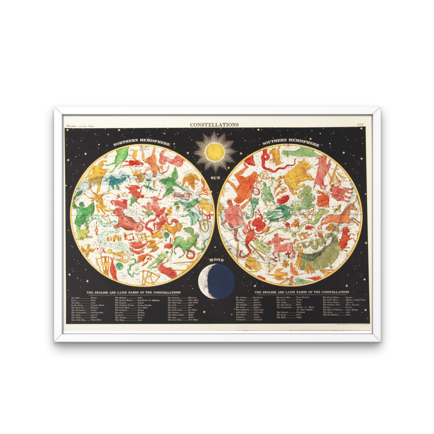 Cavalini Posters, wall art, posters, fun posters, science posters