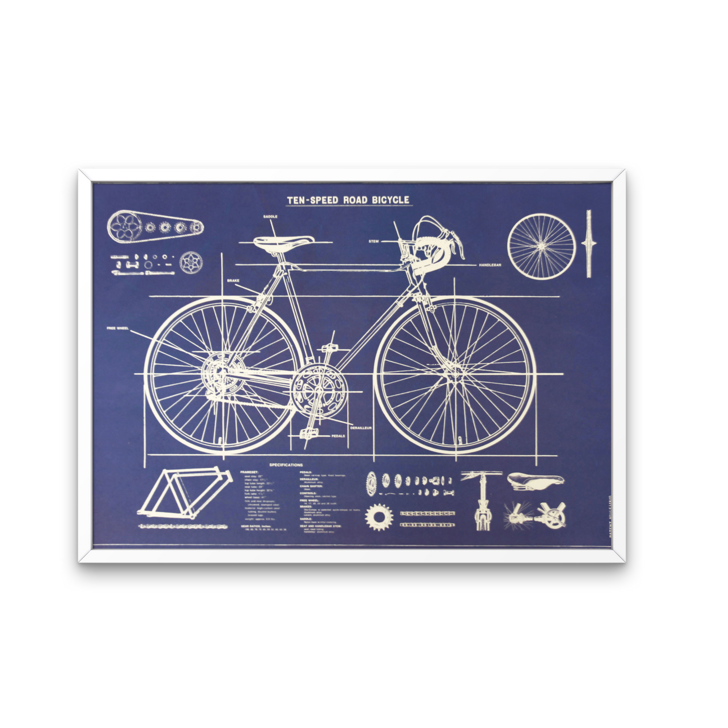 Cavalini Posters, wall art, posters, fun posters, science posters