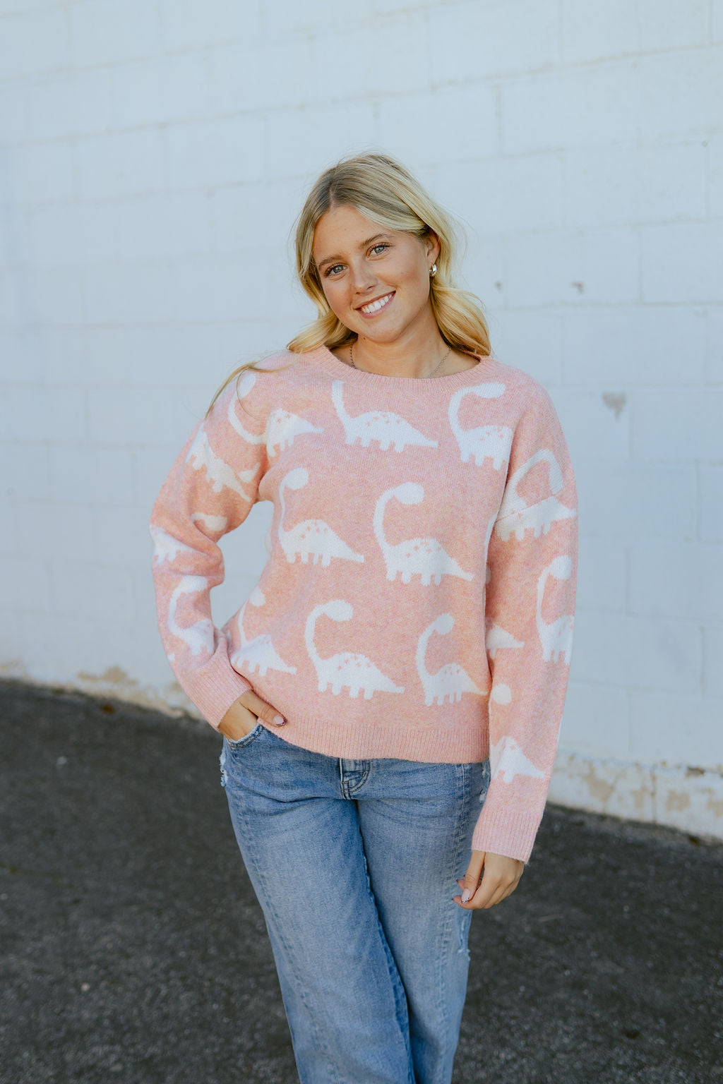 Pink sweater with dinosaur print
