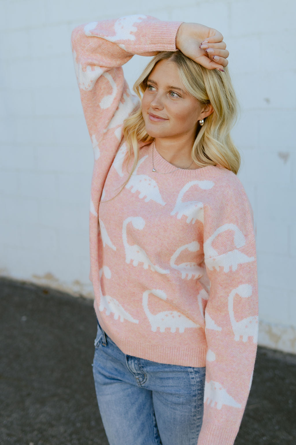 Pink sweater with dinosaur print