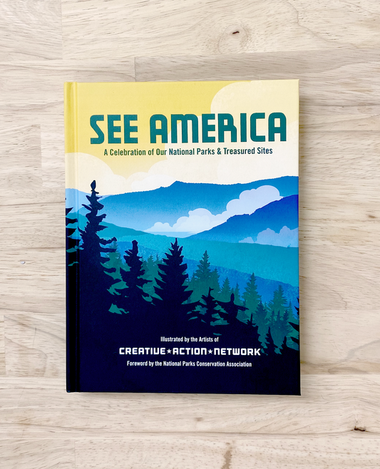 national parks illustration and design book