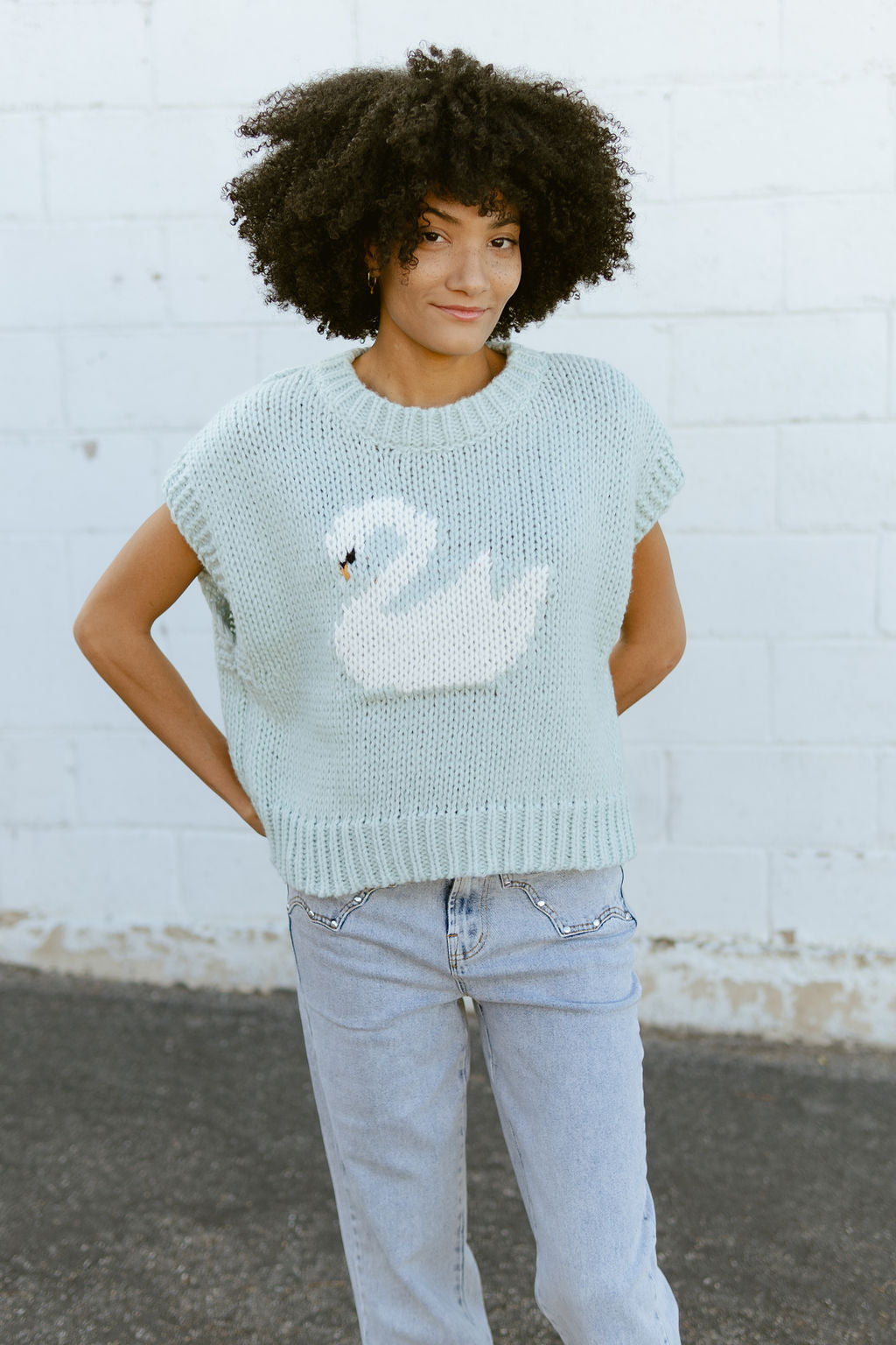 light blue sweater with swan graphic on the front