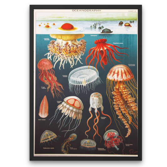 Cavalini Posters, wall art, posters, fun posters, science posters